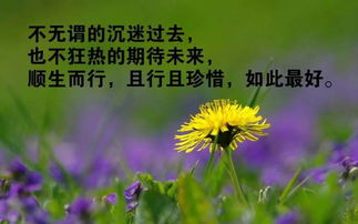 保持善良正能量的句子,善良感恩正能量的句子,孩子善良正能量的句子