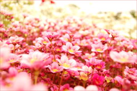 自己的,句子,能量,擁抱