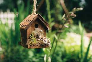 抖音做生意正能量句子