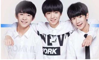 董卿說過的正能量句子,作家說過的正能量句子,TFBOYS說過的句子