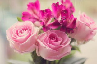 快樂(lè)溫暖的正能量句子說(shuō)說(shuō)心情短語(yǔ)