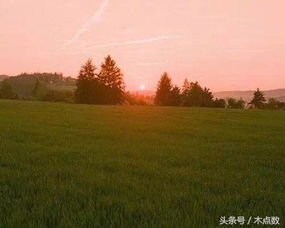 句子能量不念網(wǎng)過往語錄的正