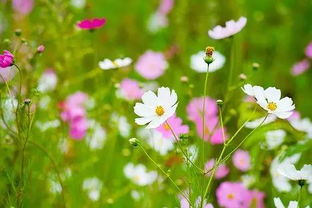 句子,能量,大全