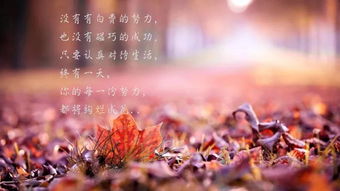 長句,子說,能量,心情