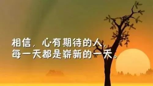 正能量感想感悟的句子