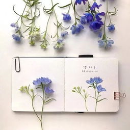 抖音對(duì)生活正能量句子