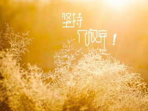 句子,唯美,能量,陽光