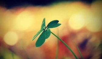 句子,能量,努力,學習