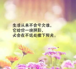 正能量句子勵志短句子,正能量滿滿的勵志句子,正能量句子勵志短句子朋友圈