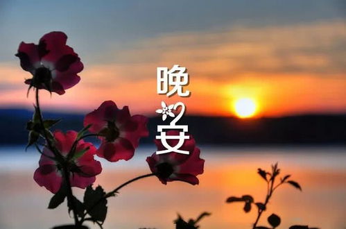 朋友圈正能量的句子問候經(jīng)典語句