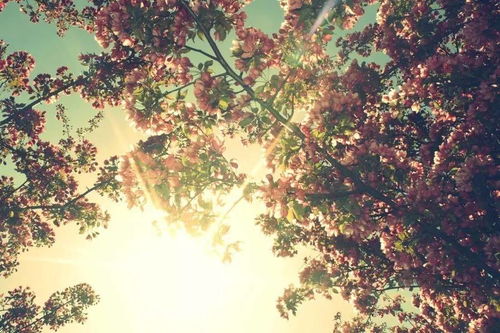 正能量文藝簡(jiǎn)短句子