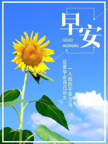 早安正能量的句子朋友圈,早安正能量的句子經典語句,形容早安正能量的句子
