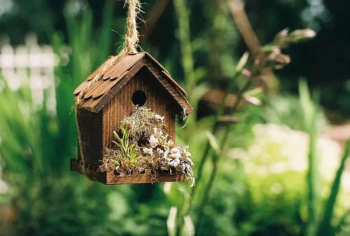 拍抖音正能量句子