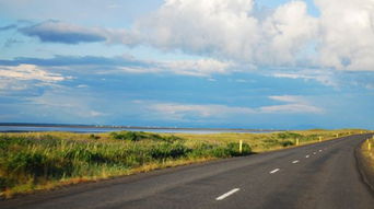 小學(xué)開學(xué)季正能量句子