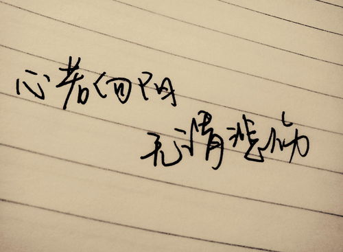 信任正能量的句子