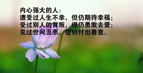 正能量句子勵志短句子,正能量句子勵志短句子朋友圈,正能量句子短句子朋友圈