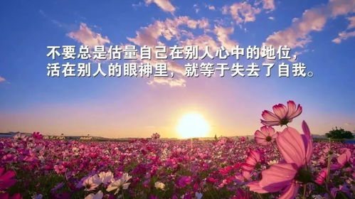 感恩生活的句子正能量詩句大全