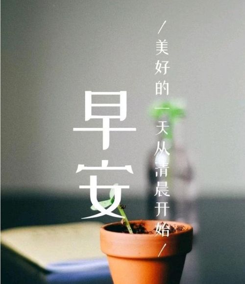 英語,句子,能量,人生