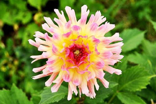 句子,能量,充滿