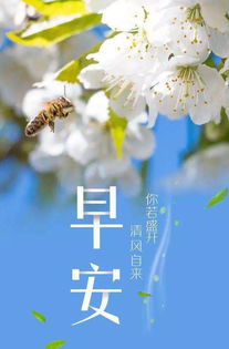 溫柔語錄正能量句子