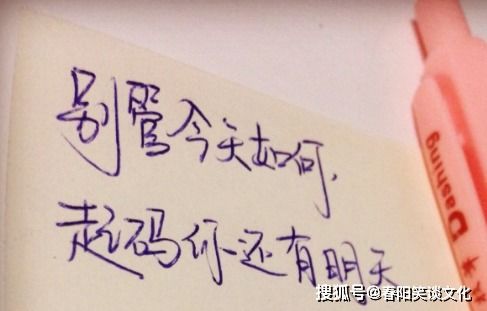 相遇陽光心態(tài)正能量的句子,充滿正能量的句子,女人獨立正能量的句子