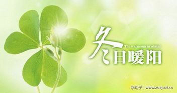 冬日暖陽正能量溫暖人心的句子,關(guān)于冬日暖陽的唯美句子,贊美冬日暖陽的句子