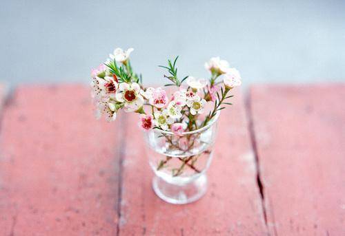 女人開心幽默正能量的句子,女人開心活著的正能量句子,開心幽默正能量的句子