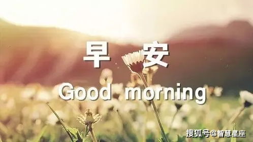 美女帶照片正能量的句子