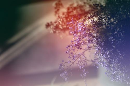 關(guān)于團(tuán)隊(duì)精神的正能量句子