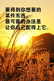 靠譜正能量句子