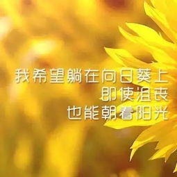 早安,句子,勵(lì)志,能量