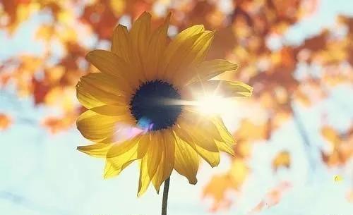 有深意的正能量句子