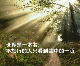 句子,新階段,能量,人生