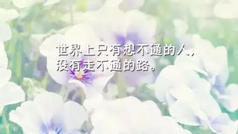 生活感悟激勵(lì)正能量的句子