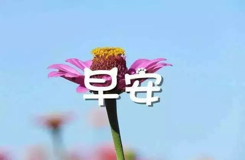 女人心態(tài)好的句子正能量短句,心態(tài)陽(yáng)光正能量句子,人生正能量心態(tài)句子