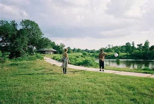 英語(yǔ)句子20字帶翻譯正能量