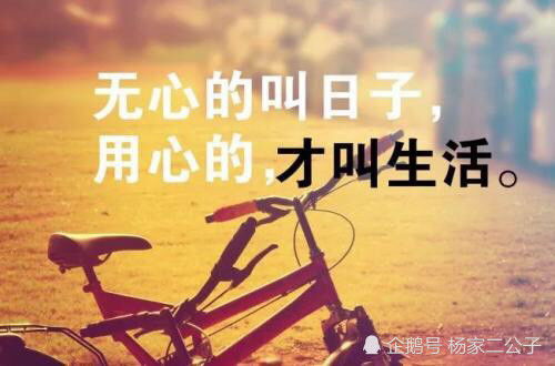 職場正能量故事及感悟句子