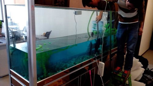 魚缸清洗會(huì)計(jì)科目