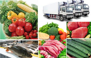 生鮮蔬菜配送中心,蔬菜配送中心方案,蔬菜入庫的會計科目