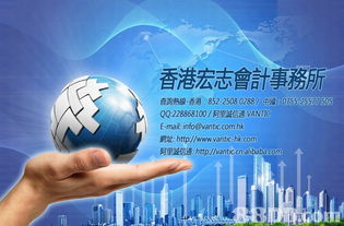 離岸,帳戶,會計科目