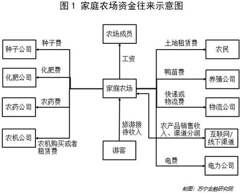 家庭農(nóng)場的會計科目有哪些