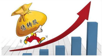 公司轉(zhuǎn)股會(huì)計(jì)科目