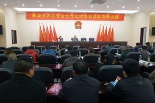 合作社,會(huì)計(jì)科目,農(nóng)村,財(cái)務(wù)