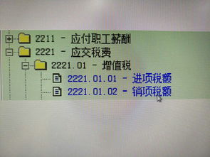 金蝶會計(jì)科目怎么設(shè)置三級科目