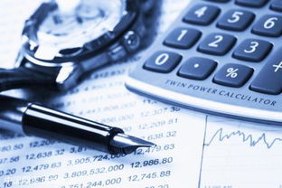 預算會計科目核算基礎