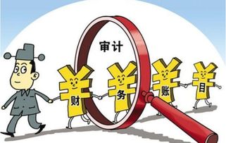 支付財(cái)務(wù)部審計(jì)費(fèi)會計(jì)科目