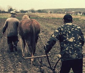 種植合作社財務會計科目