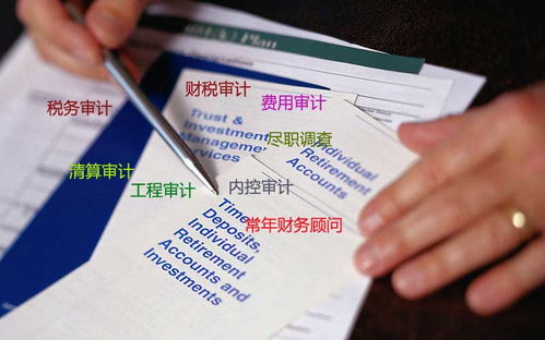 技術(shù)服務費計入什么會計科目,技術(shù)服務費屬于什么會計科目,信息技術(shù)服務費計入什么會計科目