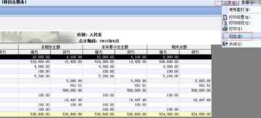 u8中會計(jì)科目