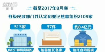 非營(yíng)利性組織會(huì)計(jì)科目,公益組織會(huì)計(jì)科目,集體經(jīng)濟(jì)組織會(huì)計(jì)科目